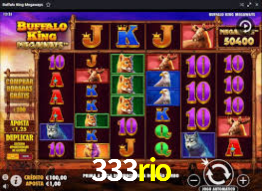 Interface Premium 333rio